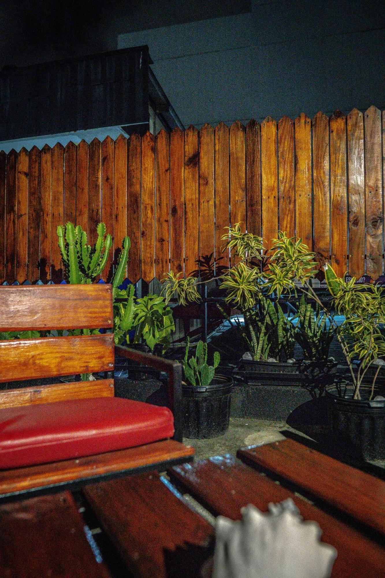 Eden'S Garden Hostel Panama City Luaran gambar